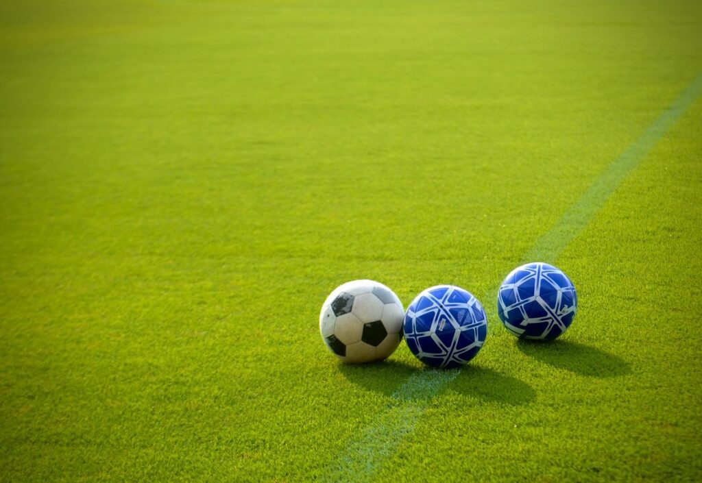 芝生に並んだサッカーボール