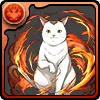 ニャーコ