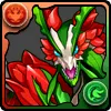 紅の華龍・バルバドス