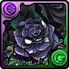 黒薔薇の邪影華