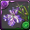 ロベリアの邪影華
