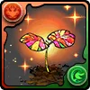 ハイビスカスの星萌芽