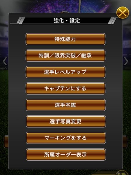 「強化・設定」を押したときのポップアップの例
